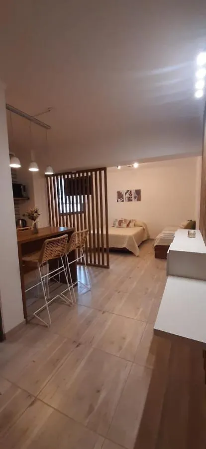 Monoambiente Centrico Apartment Mendoza